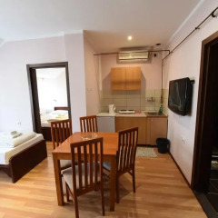 Апартаменты Apartments & Accommodation Stojic Нови Сад в номере фото 2