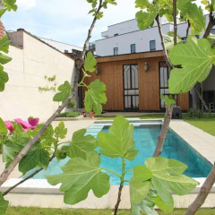 Отель B&B Koto