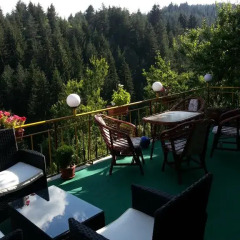 Отель Guest House Stoletnika Чепеларе фото 18