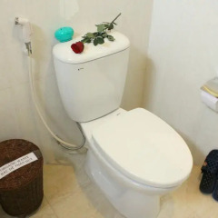 Отель Green Coco Homestay Hoi An 2* Стандартный номер с различными типами кроватей фото 8