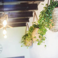 Отель Balili Surf House интерьер отеля