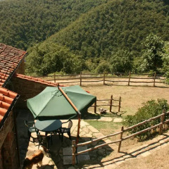 Отель Tribbiano Ареццо фото 8
