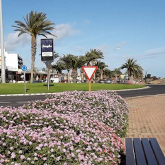Отель Palm Garden Пахара фото 4