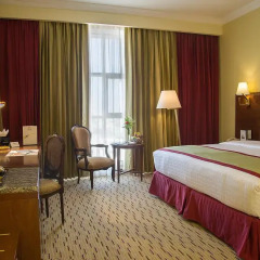 Rayan Hotel Sharjah 4* Стандартный номер с различными типами кроватей фото 3