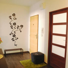 Отель Lermontov Apartments Чехия, Карловы Вары - отзывы, цены и фото номеров - забронировать отель Lermontov Apartments онлайн интерьер отеля