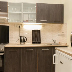 Отель Apartman Letna Чехия, Прага - отзывы, цены и фото номеров - забронировать отель Apartman Letna онлайн в номере фото 2