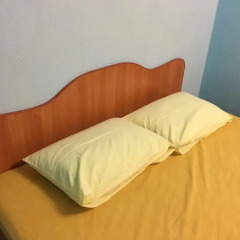 Hostel Zeleniy Dom Стандартный номер с разными типами кроватей фото 9