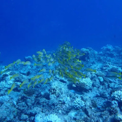 Отель The Sunrise Huraa Хураа пляж фото 2