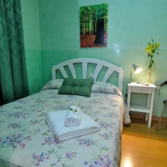 Отель Hostal Naranjos Стандартный номер с различными типами кроватей фото 18