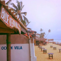Отель Blue Ocean Villa Шри-Ланка, Хиккадува - отзывы, цены и фото номеров - забронировать отель Blue Ocean Villa онлайн питание