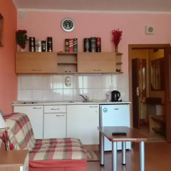 Апартаменты TES Flora Apartments Стандартный номер фото 12