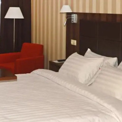 Ramada by Wyndham Rostov-on-Don Hotel & SPA 4* Номер Делюкс с разными типами кроватей фото 6