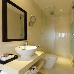 River Suites Hoi An Hotel 3* Полулюкс с различными типами кроватей фото 5