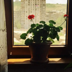 Отель Room in Apartment at Tigrana Metsa Армения, Ереван - отзывы, цены и фото номеров - забронировать отель Room in Apartment at Tigrana Metsa онлайн фото 4