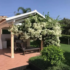 Отель Casa Mocho Branco фото 2