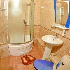 Мини-отель на Кузнечной Стандартный номер фото 7
