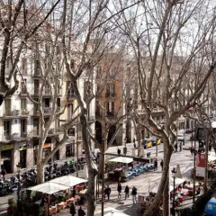 Апартаменты N49 Barcelona Apartments спортивное сооружение