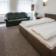 Отель RADNICE 4* Апартаменты фото 20