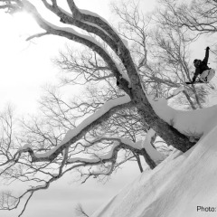 Отель Morino Lodge Hakuba Хакуба интерьер отеля фото 3
