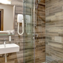 Garni Hotel Zavicaj 4* Стандартный номер с различными типами кроватей фото 8
