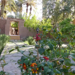 Отель Riad Tabhirte фото 8