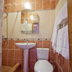 Гостиница Мари Люкс с двуспальной кроватью фото 35