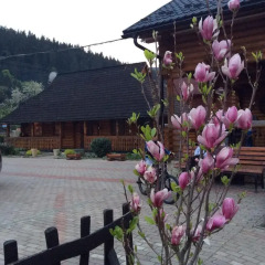 Гостиница Lisoviy Zrub парковка