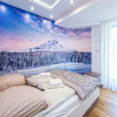 Отель Apartamenty Comfort & Spa Stara Polana Люкс повышенной комфортности фото 2