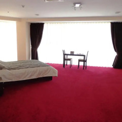 Mark Plaza Hotel 2* Стандартный номер двуспальная кровать фото 3