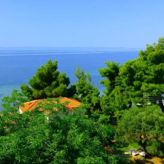 Golden Beach Hotel пляж фото 2