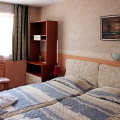 Antik Hotel 3* Стандартный номер с различными типами кроватей фото 8