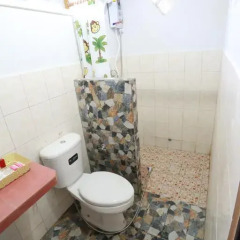 Отель Greenery Resort 3* Студия Делюкс с различными типами кроватей фото 10