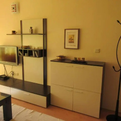 Апартаменты Eliza Apartment Sequoia Боровец удобства в номере фото 2