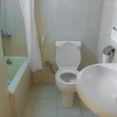 Отель Cleopetra Hotel Иордания, Вади-Муса - отзывы, цены и фото номеров - забронировать отель Cleopetra Hotel онлайн ванная фото 2