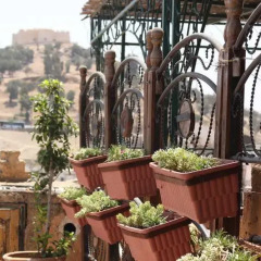 Отель Funky Fes Hostel Марокко, Фес - отзывы, цены и фото номеров - забронировать отель Funky Fes Hostel онлайн фото 2