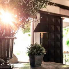 Отель Halcyon House Colombo фото 4