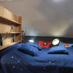 Tree Hotel 5* Стандартный номер с различными типами кроватей фото 13