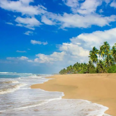 Отель Swan White Villa пляж