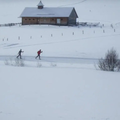 Отель Familiengasthof Zirmhof бассейн