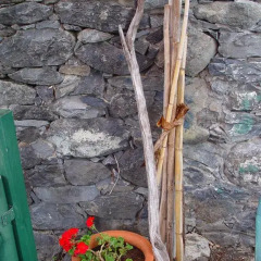 Отель Quinta da Vila спа