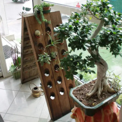 Hotel Brotas фото 3