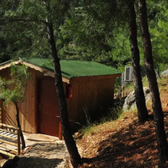 Tree Houses 3* Бунгало с различными типами кроватей фото 3