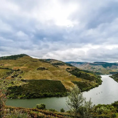 Отель Casas da Quinta de Merouco Португалия, Алижо - отзывы, цены и фото номеров - забронировать отель Casas da Quinta de Merouco онлайн приотельная территория фото 2