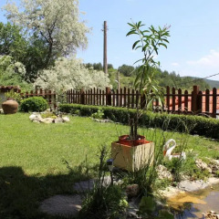 Отель Stoyanova House Болгария, Ардино - отзывы, цены и фото номеров - забронировать отель Stoyanova House онлайн фото 7