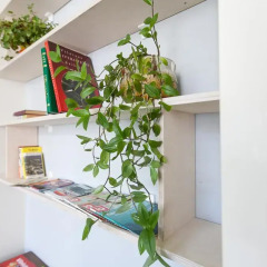 V4Vilnius Hostel Кровать в общем номере с двухъярусной кроватью фото 6