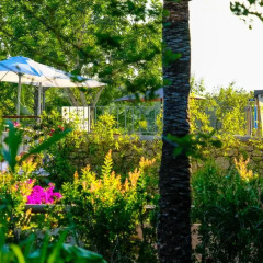 Отель Villas Can Lluc детские мероприятия фото 2