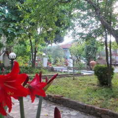 Ünlü Hotel Турция, Олудениз - отзывы, цены и фото номеров - забронировать отель Ünlü Hotel онлайн фото 10