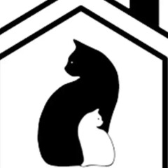 Хостел Кошкин Дом фитнесс-зал