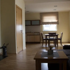 Отель Guesthouse Ameda Литва, Вильнюс - отзывы, цены и фото номеров - забронировать отель Guesthouse Ameda онлайн комната для гостей фото 4