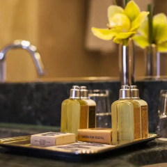Hotel Esplanade Zagreb 5* Президентский люкс с различными типами кроватей